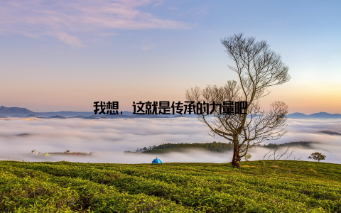 我想, 这就是传承的力量吧