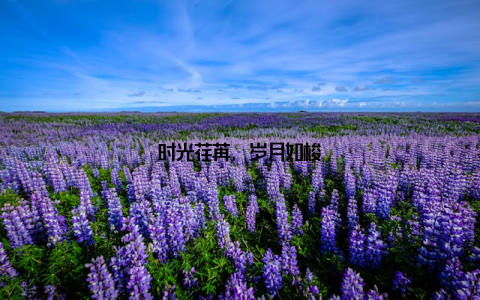 时光荏苒, 岁月如梭