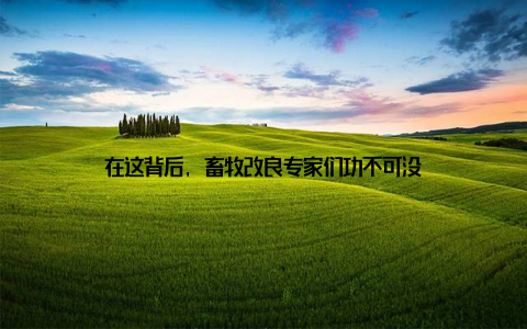 在这背后, 畜牧改良专家们功不可没