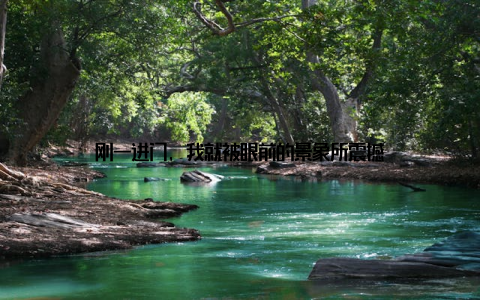 刚一进门, 我就被眼前的景象所震撼