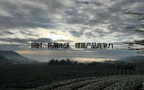 同时, 拓展市场, 提高产品竞争力