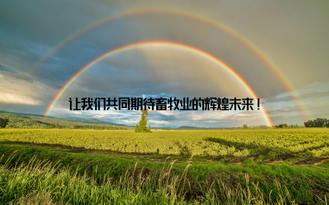 让我们共同期待畜牧业的辉煌未来!