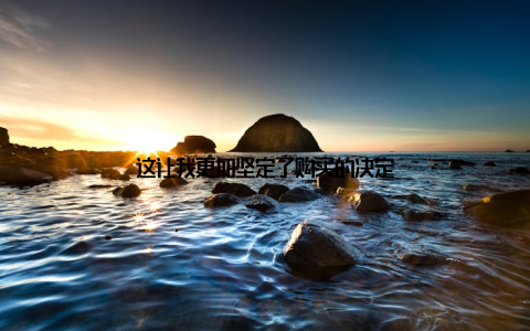 这让我更加坚定了购买的决定