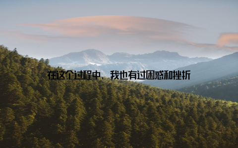 在这个过程中, 我也有过困惑和挫折