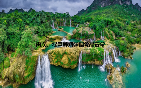 再次, 绿色养殖强调食品安全