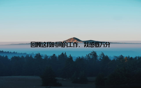 回顾这段时间的工作, 我感慨万分