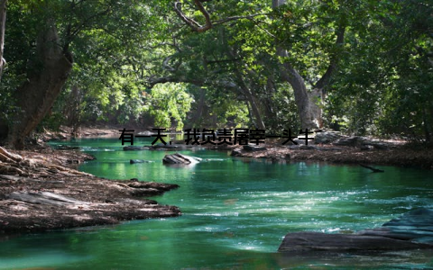 有一天, 我负责屠宰一头牛