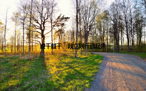 说干就干, 我立刻行动起来