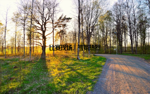 比赛现场, 气氛热烈