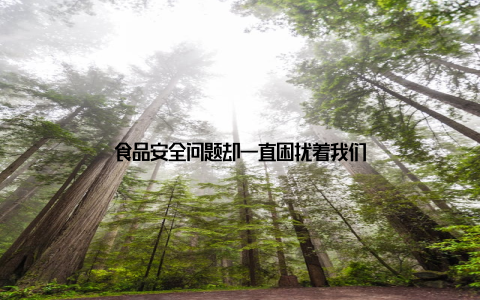 食品安全问题却一直困扰着我们