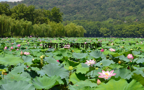 这是许多兰考青年的心声