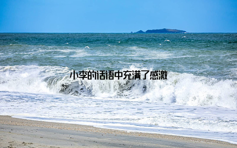 小李的话语中充满了感激