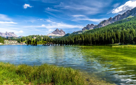 具备一定的养殖技术, 了解动物需求