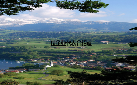 一位企业代表介绍道