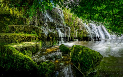 公告中还强调了农村集体产权制度改革