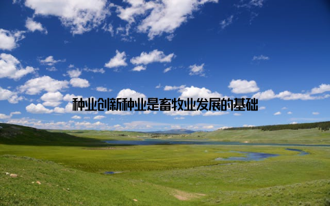 种业创新种业是畜牧业发展的基础