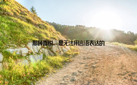 那种喜悦, 是无法用言语表达的