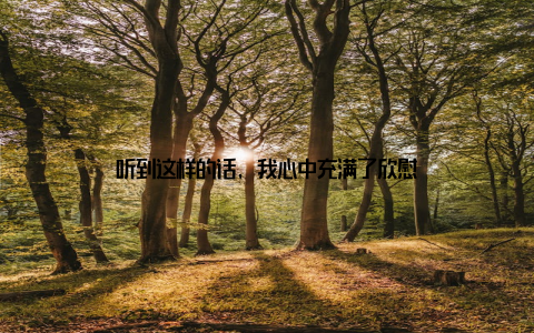 听到这样的话, 我心中充满了欣慰