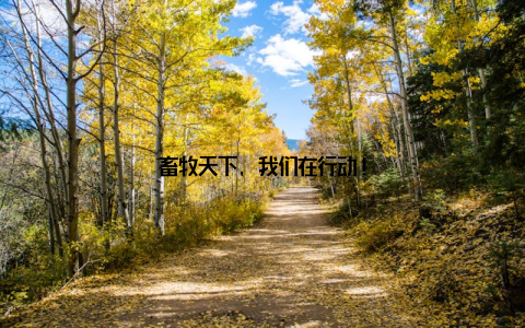 畜牧天下, 我们在行动!