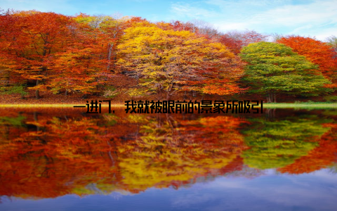 一进门, 我就被眼前的景象所吸引